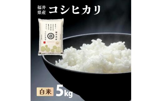 福井県産 コシヒカリ 精米 5kg（5kg×1）＜令和7年産 新米 / 数量限定 ＞【米 コメ お米 精米 白米 無洗米 玄米 ご飯 飯 こしひかり ブランド米 国産】[095-a002_B]