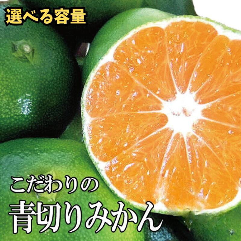 【ふるさと納税】【2025年秋頃発送予約分】【農家直送】こだわりの青切りみかん 【選べる容量】約2kg 約4kg 約5kg 約7.5kg 約10kg 有機質肥料100% サイズ混合 ※2025年9月下旬より順次発送予定（お届け日指定不可）/ みかん 果物 フルーツ くだもの ミカン 青切り 有田みかん
