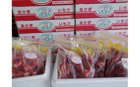 【5月発送】陽一郎園の完熟冷凍いちご 2.7kg【令和4年群馬県いちご品評会銀賞受賞】 F4H-0662