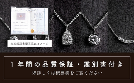 ダイヤ ダイヤモンド ネックレス 0.12ct ジュエリー アクセサリー ペンダント 宝石 プラチナ ギフト プレゼント 贈り物 記念日 お祝い 誕生日 人気 高級 山梨県 西桂町【n0478_liz