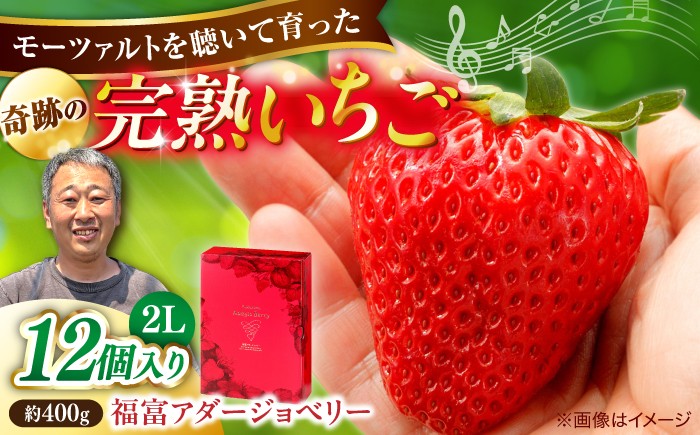
                  いちご＼先行予約／【2027年1月中旬順次発送】【100個限定】完熟いちご のつ農園 「福富アダージョベリー」 2lサイズ12個入り 島根県松江市/山陰中央テレビジョン放送株式会社 [ALFI003]｜イチゴ 苺 フルーツ 果物 いちご イチゴ 苺 strawberry ichigo itigo 果物 くだもの フルーツ イチゴ 苺 国産 人気 おすすめ
                