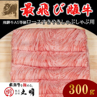 【ふるさと納税】【最飛び雌牛】飛騨牛A5等級ロースすきやきしゃぶしゃぶ用　300g【配送不可地域：離島】【1520143】