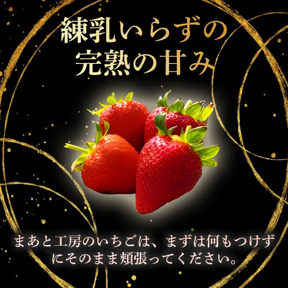 【体験】 【開催期間 2027年1月1日～5月7日】 オリジナルいちごと人気ブランドいちごの食べ比べ いちご狩り体験チケット ( 4名様分) ＋お土産いちご4パック付き【maato009】