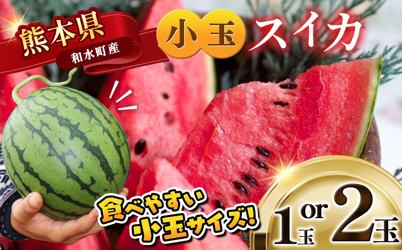 
                  【 順次出荷中！ 】小玉スイカ 熊本和水町産 スイカ 小玉 1玉 or 2玉  | 熊本県 和水町 くまもと なごみまち すいか 西瓜 小玉2玉 季節限定 果物 フルーツ 果物 野菜 | ふるさと納税 オススメ 返礼品
                