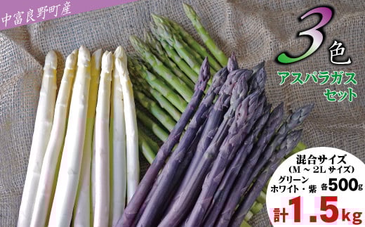 【2026年発送】【中富良野町産】3色アスパラガスセット（1.5㎏）