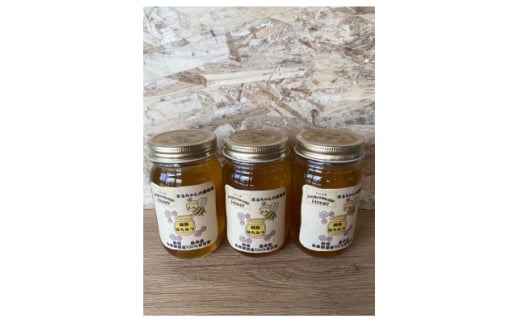 まるちゃん養蜂場 百花はちみつ 計900g(300g×3本)【1696688】