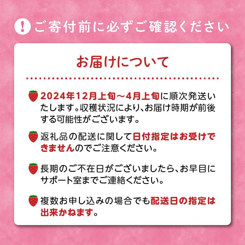 特選あまおう　約400g　12月から発送