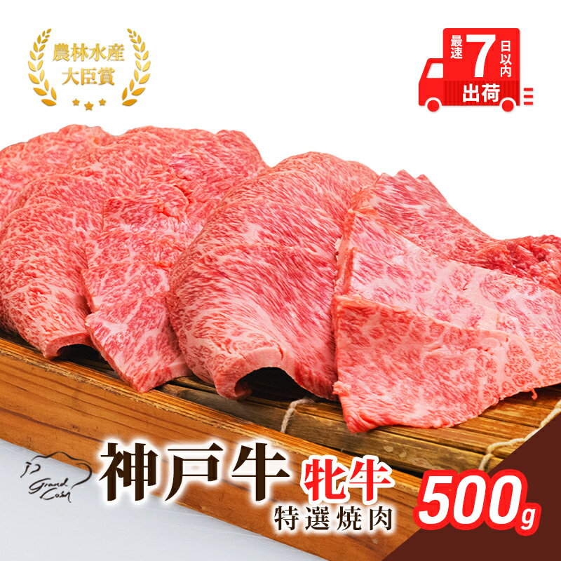 【ふるさと納税】牛肉 冷凍 神戸ビーフ 【最短7日以内発送】 500g 神戸牛 牝 特選焼肉 肉 すぐ届く お肉 和牛 食材 ブランド牛 日本産 国産 晩御飯 夜ごはん 但馬牛 兵庫県地域資源認定品 川岸畜産 兵庫県加西市 グルメ