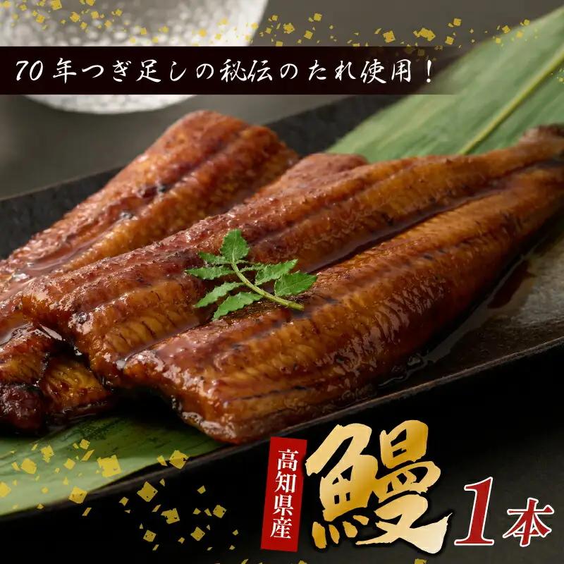 国産うなぎ蒲焼 1尾 (約190g) 【hn088】