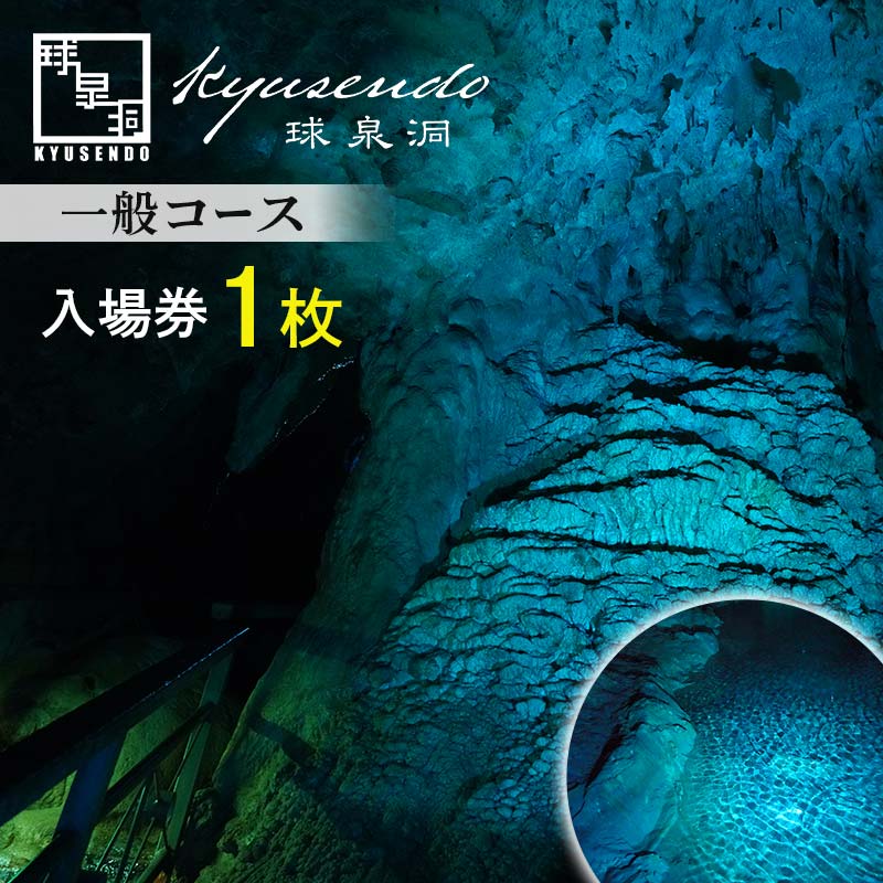 【ふるさと納税】球泉洞 入場チケット (一般コース) 1枚 鍾乳洞 鍾乳石 地下 観光 自然 FKP9-615