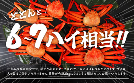 紅ズワイガニ  冷蔵 訳あり 3kg【安田水産】