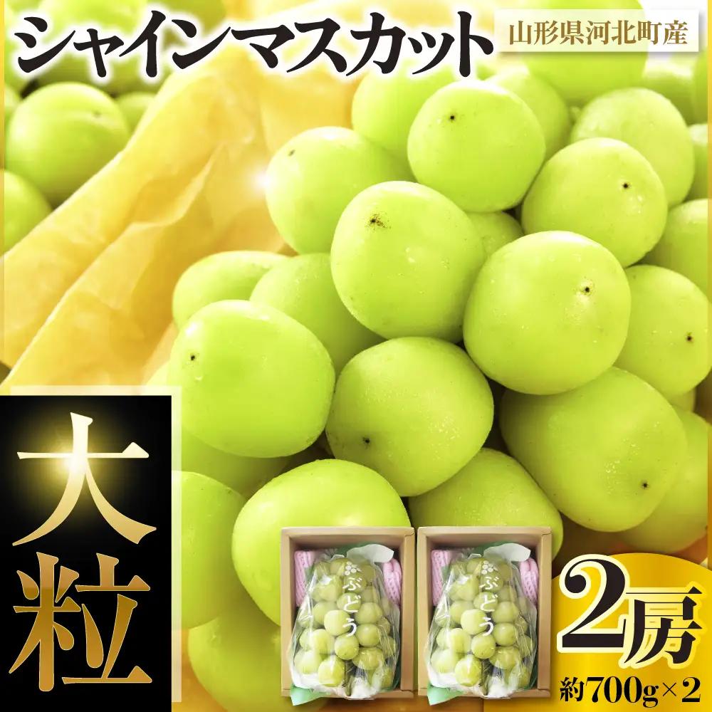 ぶどう シャインマスカット 大粒 2房 700g×2 令和8年産 ぶどう