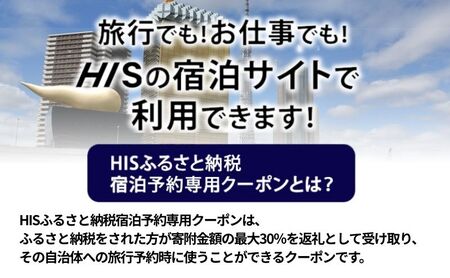 HISふるさと納税宿泊予約専用クーポン（東京都墨田区）90,000円分