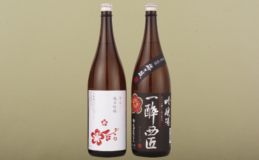[C111p］香り豊かな純米吟醸･吟醸酒のプチ贅沢一升瓶2本