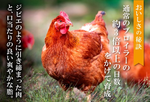 熟成・香草焼き（半羽×１本）【鶏肉 香草焼き 半羽 1本 鶏 地鶏 赤鶏 赤どり 熟成 無農薬 安心 安全 長期飼育 唐揚げ 焼き鳥 すき焼き 真空パック 真空 冷凍 国産 島根県 大田市】