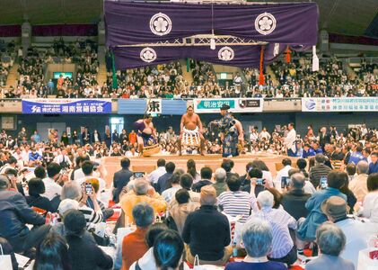 大相撲藤沢場所 観覧チケット 【1階 Ａマス席】