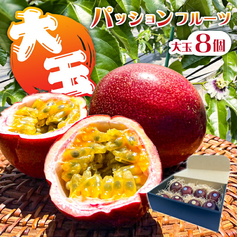 【ふるさと納税】【2025年7月中旬～9月中旬発送予定】【TVで紹介！】パッションフルーツ大玉8個 果物 フルーツ パッションフルーツ 甘味 酸味 トロピカル ヨーグルト アイス ギフト