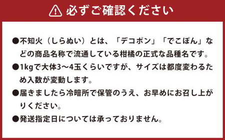 環境マイスターの不知火 良品 10kg （栽培期間中は無肥料・低農薬） 果物 くだもの フルーツ 不知火 しらぬい 柑橘 みかん 【2025年1月上旬-4月下旬迄順次発送予定】