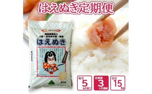 ≪3ヶ月定期便≫ はえぬき 5kg×3ヶ月連続 計15kg 山形県産 毎月下旬頃お届け 農協 米 お米 精米 白米 ごはん 東北 酒田 庄内 3回 JS JAそでうら　SE0583