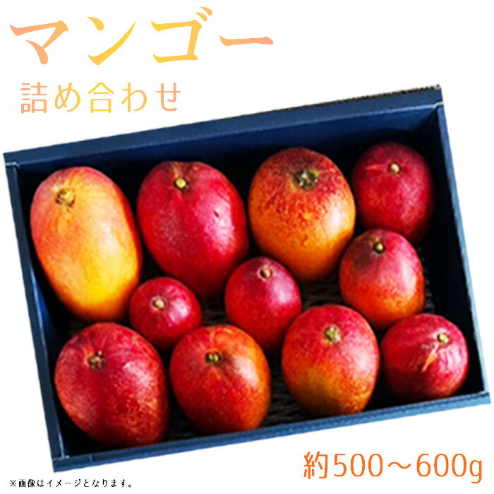 【ふるさと納税】No.371 名もなきマンゴー詰め合わせ約500～600g　大きさ不揃い ／ フルーツ 果物 化粧箱 満足 送料無料 大阪府