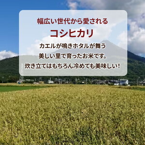 令和7年産米 土浦市産 コシヒカリ 精米5kg◇ ｜ 茨城県土浦市のお米が収穫される旧新治村地区は、ホタルが舞うのどかな里です コシヒカリ 米 精米 白米 5kg お弁当 もちもち 国産 送料無料 ブ