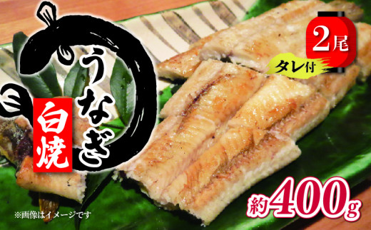 
国産 うなぎ 白焼 2尾 計400g ( 1尾あたり約200g ) タレ付 ( グルメ うなぎ 鰻 新鮮 たれ 土曜 丑の日 真空パック おすすめ 滋賀県 竜王 送料無料 )
