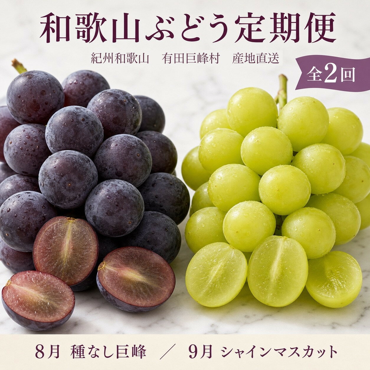 【ふるさと納税】定期便 8・9月発送 紀州有田産旬のぶどうセット（種なし巨峰・シャインマスカット） | フルーツ 果物 くだもの 食品 人気 おすすめ 送料無料 定期便