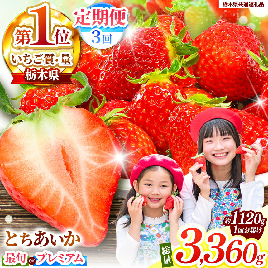 【ふるさと納税】【選べる定期便】楽天限定! 選べる定期便 プレミアムとちあいか 最旬とちあいか 280g×4P ＜2025年12月から2026年3月までの期間で収穫・順次発送予定＞【栃木県共通返礼品】｜選べる 先行予約 美味しい ご褒美 苺 果物 先行予約 とちあいか 栃木県 矢板市