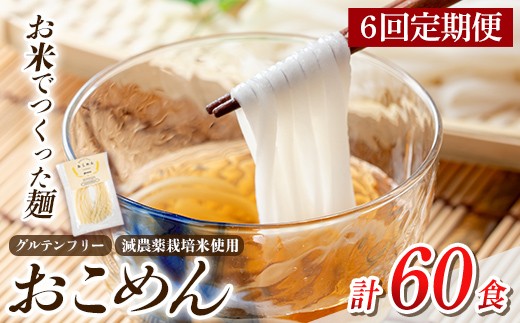 a1101-D 【6回定期便】おこめん(中麺) 1食100g(計60食 (10食×6回))【アグリベースAIRA】姶良市 麺 お米麺 グリテンフリー 定期便