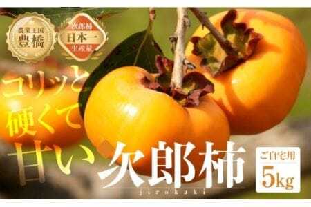 先行予約 生産量日本一 豊橋石巻産 次郎柿 ご自宅用 5kg 柿 訳あり 不揃い (15～25玉) 甘柿 果物 フルーツ 10月 11月 愛知県 豊橋市