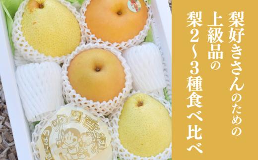 KF-C014【きよとうファーム】梨好きのための、梨2～3種食べ比べ 上級品 5-7玉 (岡山県産)