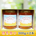 【ふるさと納税】たぁちゃんのはちみつ 300g×2本｜ハチミツ 蜂蜜 はち蜜 [1643]