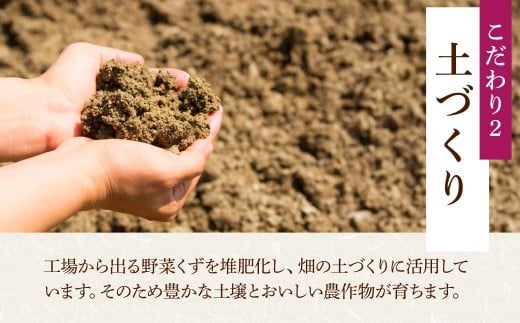 さつまいも 紅はるか 5kg | さつまいも サツマイモ さつま芋 さつまいも サツマイモ さつま芋 さつまいも サツマイモ