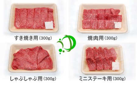 《定期便》飛騨牛 4回お届け 4ヶ月 焼肉 すき焼き しゃぶしゃぶ ミニステーキ 300g 5等級[Q602]