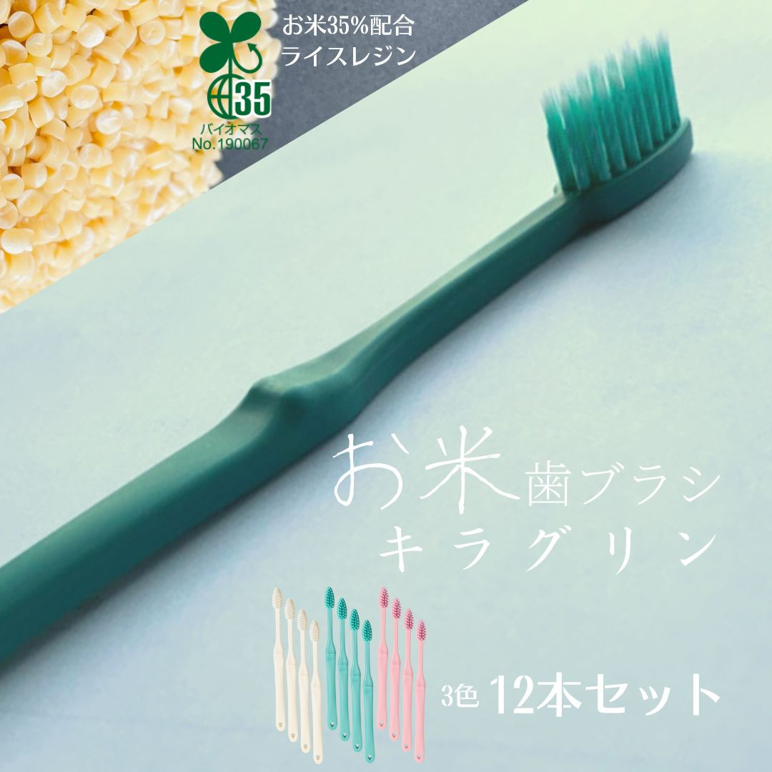 
お米でできた歯ブラシ「キラグリン」３色12本セット
