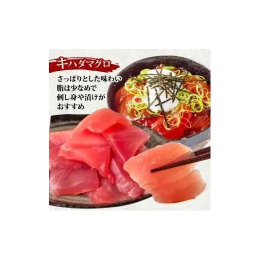 【 訳あり 】 訳ありキハダマグロ1kg