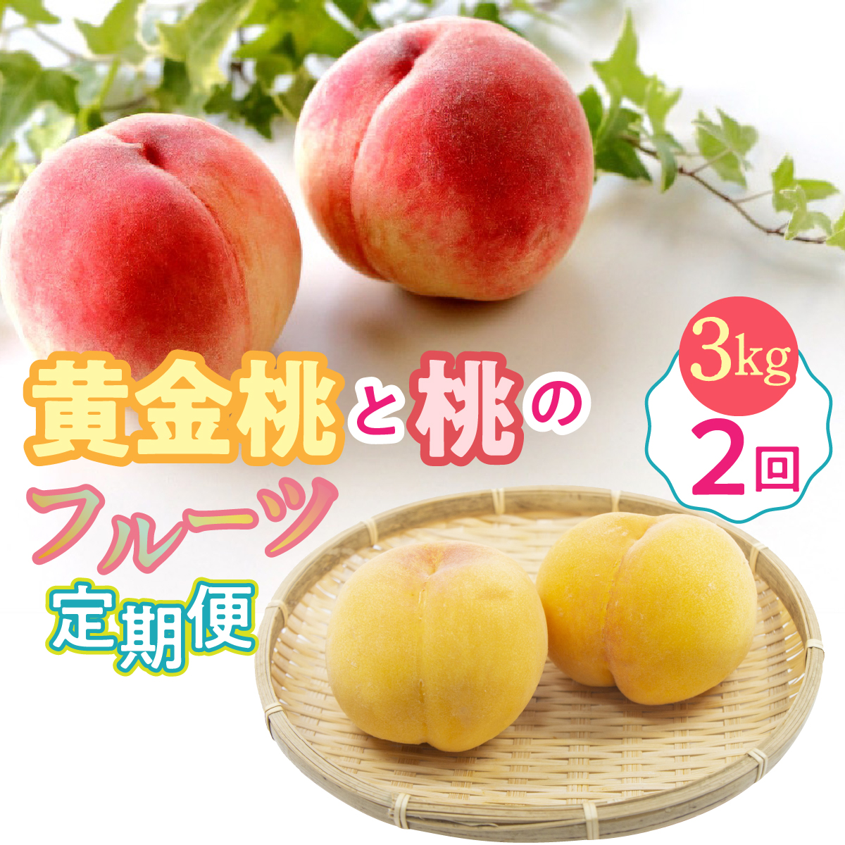 ＜2026年発送先行予約＞黄金桃と桃のフルーツ2回定期便　約3kg ALPDG016