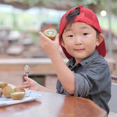 ふるさと納税 掛川市 農園直送!訳アリキウイフルーツ2kg〜2.4kg(24個〜30個) |  | 03