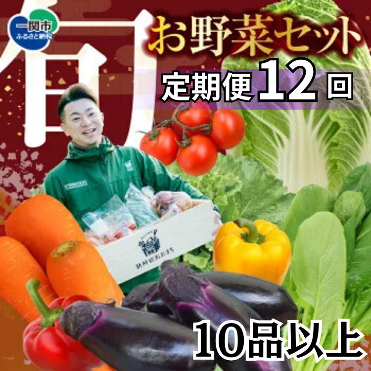 【定期便/12か月】注文が来てから農家さんに連絡！ 収穫したばかりの新鮮野菜セット《10品以上保証付き！！》