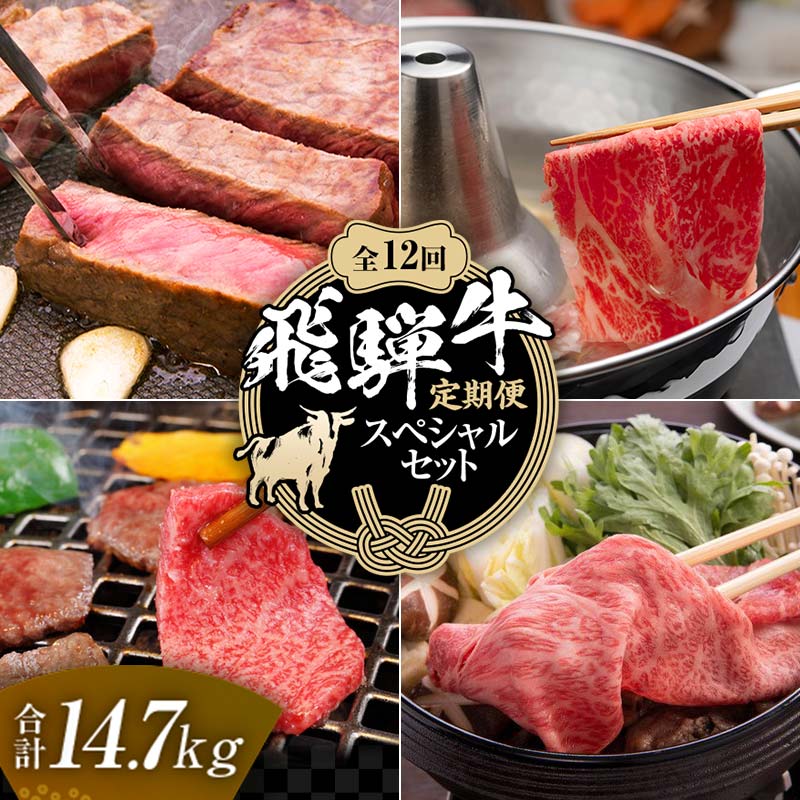 【ふるさと納税】【定期便】飛騨牛 全12回 合計14.7kg スペシャルセット ステーキ 焼肉 しゃぶしゃぶ すき焼き 牛肉 黒毛和牛 5等級 肉 岐阜県 坂祝町 さかほぎ F6M-063