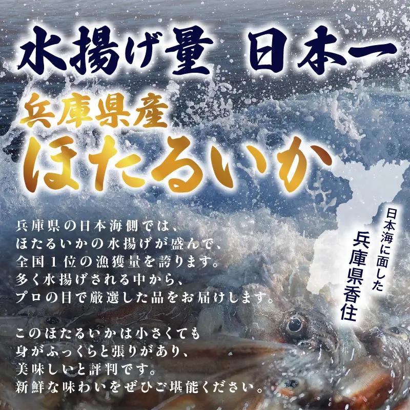 《先行予約》 ボイル ホタルイカ 小分け 250g×4パック 酢味噌付 【令和9年3月以降発送予定】 ほたるいか いか イカ 10-14