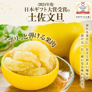 園主こだわりの土佐文旦5キロ 小玉（L - Mサイズ） 2024年1月下旬より順次発送 ぶんたん ブンタン 柑橘 みかん フルーツ 果物 お取り寄せ 土佐 高知 やの一果彩