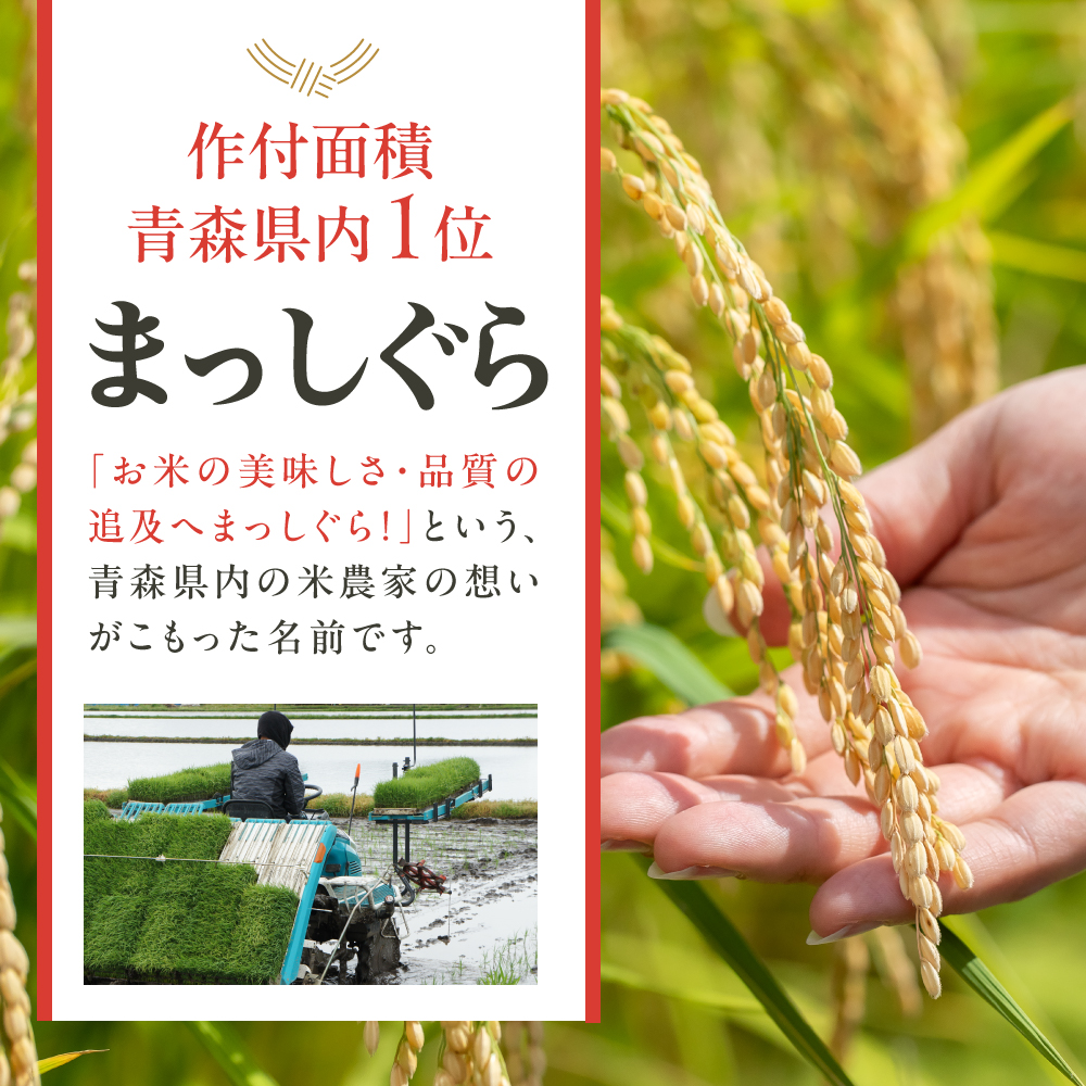【3月前半発送】無洗米 5kg まっしぐら 青森県産 【米 白米 5キロ JAごしょつがる】 青森県 五所川原市