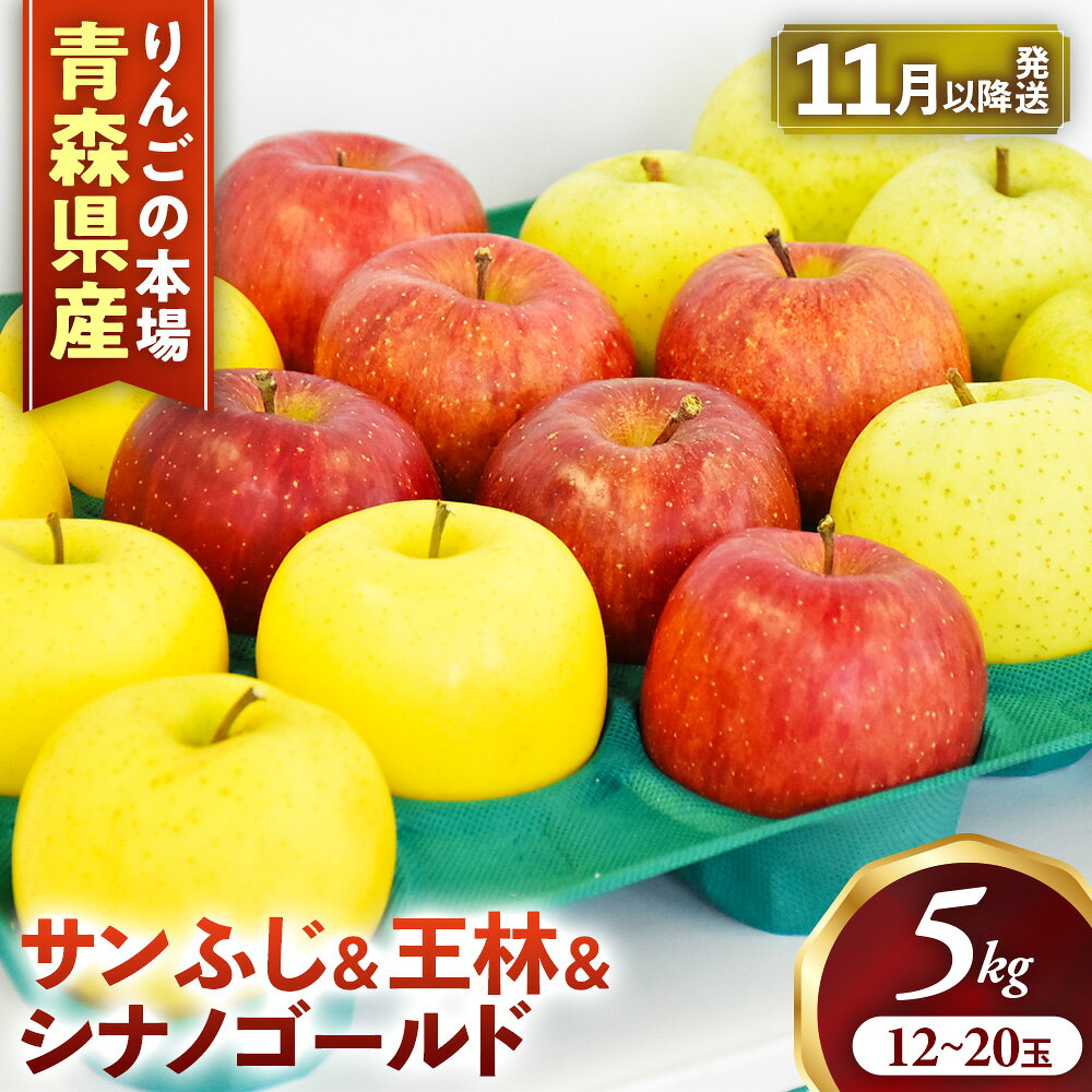 【ふるさと納税】【先行予約】青森りんご【サンふじ＆王林＆シナノゴールド】セット 約5kg（計14〜18玉）【2026年産】★2026年11月下旬～12月下旬頃まで発送予定★ りんご 林檎 リンゴ 国産 旬 フルーツ 果物 贈答 土産 青森県 三戸町