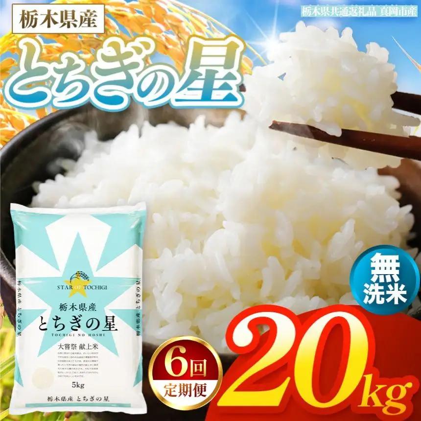 【令和8年産 新米】 【定期便6回】栃木県産 お米 とちぎの星　（無洗米） 10kg 【2026年秋以降発送】 |  栃木県 矢板市 【栃木県共通返礼品 真岡市産】