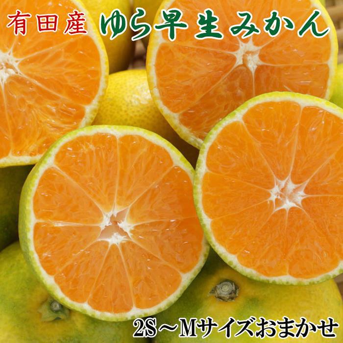 【ふるさと納税】［極早生みかんの逸品］有田産ゆら早生みかん約5kg★2026年10月中旬頃より順次発送［TM58］ | 和歌山 返礼品 楽天ふるさと お取り寄せグルメ 取り寄せ グルメ フルーツ 果物 くだもの みかん ミカン 蜜柑 極早生みかん 柑橘 柑橘類 かんきつ 早生ミカン