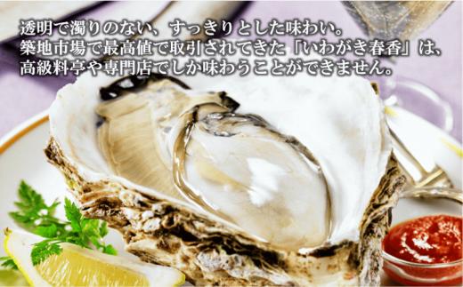 【のし付き】海士のいわがき 新鮮クリーミーな高級岩牡蠣 殻付きLサイズ×16個