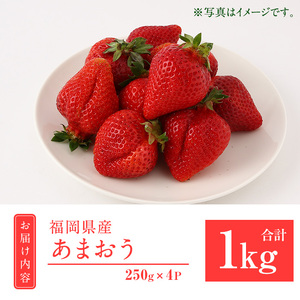 ＜先行予約受付中！2026年2月上旬より順次発送予定＞福岡県産 あまおう (計1kg・250g×4P) いちご イチゴ 苺 ストロベリー 果物 フルーツ おやつ デザート 1000g 4パック 冷蔵【