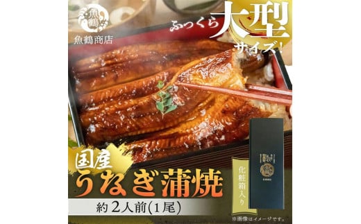 大型サイズ 　ふっくら柔らか国産うなぎ蒲焼き　1尾（約2人前）化粧箱入