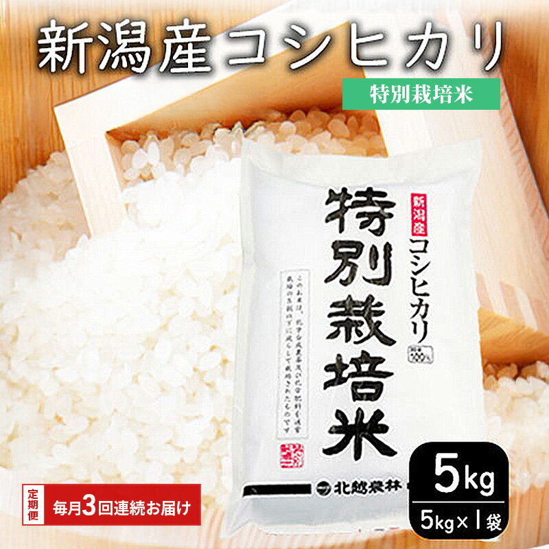 【ふるさと納税】特別栽培米新潟産コシヒカリ5kg　毎月3回連続でお届けします。 米 お米 こめ コメ ごはん 新潟 白米 コシヒカリ ブランド米 銘柄米 お取り寄せ 産地直送　お届け：申込月の翌月から開始
